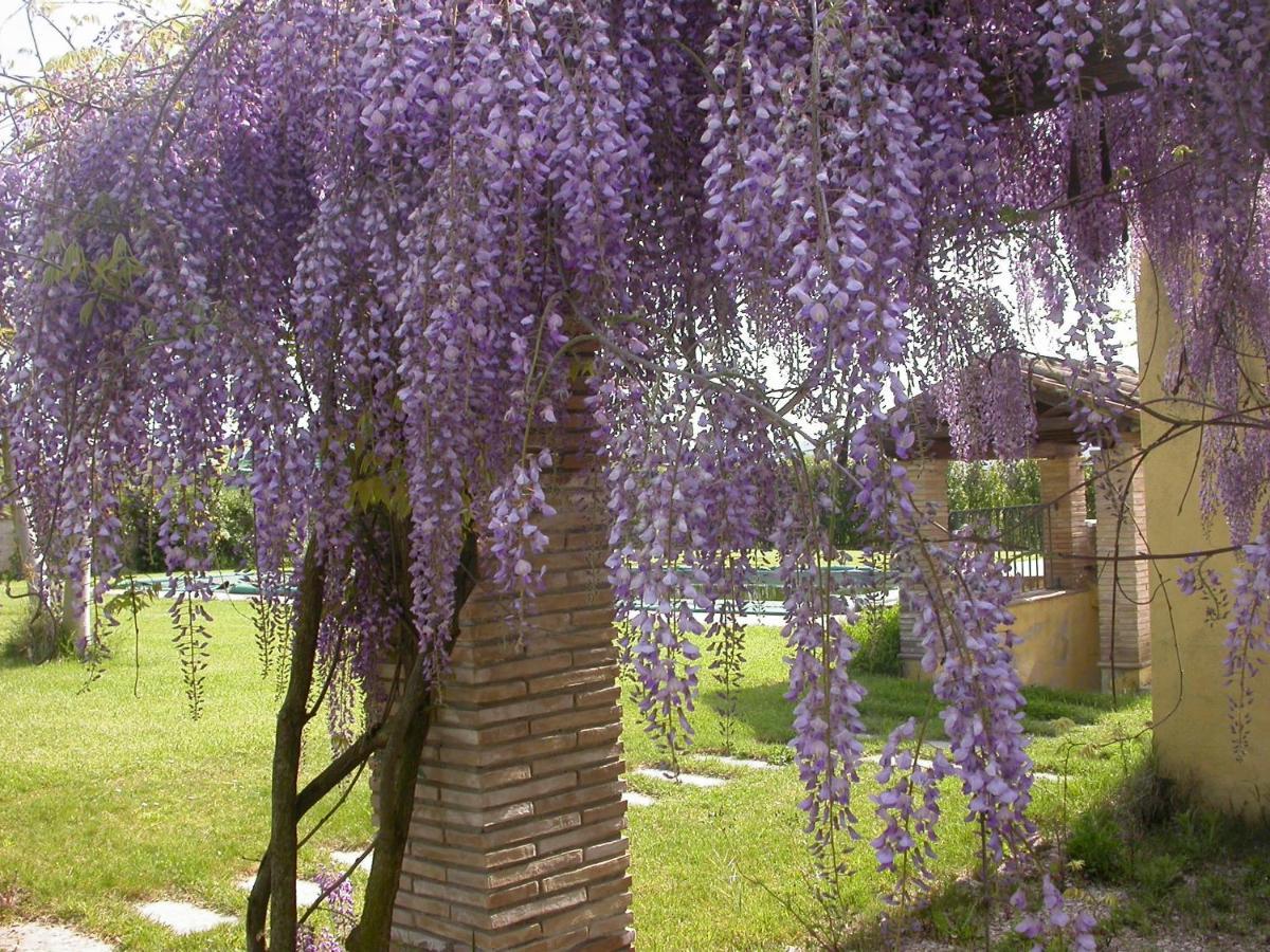 Casavacanze Sant'Eugenia Аттільяно Екстер'єр фото